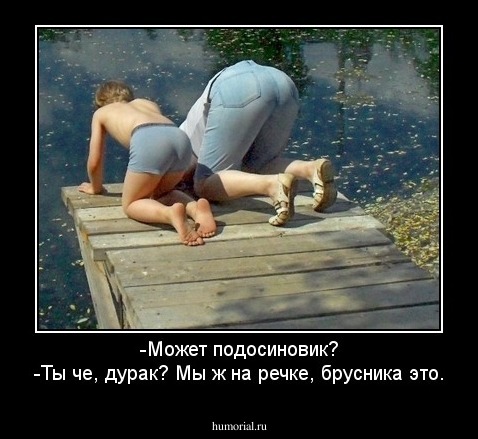 -Может подосиновик?
-Ты че, дурак? Мы ж на речке, брусника это.