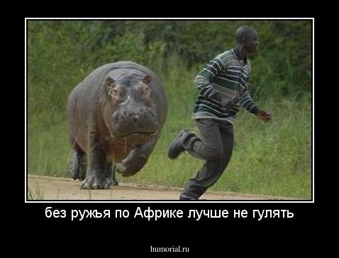 без ружья по Африке лучше не гулять