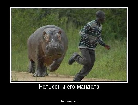 Нельсон и его мандела