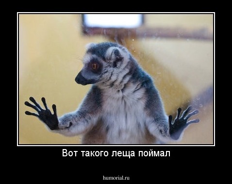 Вот такого леща поймал