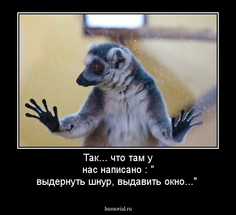 Так... что там у нас написано в инструкции : " выдернуть шнур, выдавить окно..." 