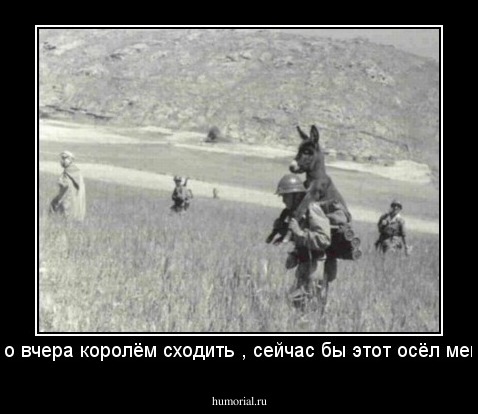 надо было вчера королём сходить , сейчас бы этот осёл меня возил !