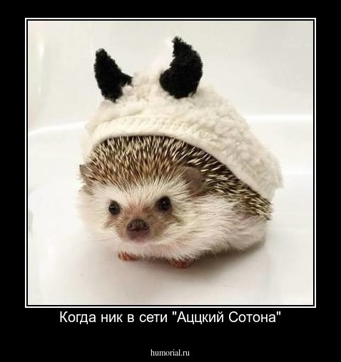 Когда ник в сети "Аццкий Сотона"