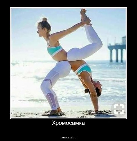 Хромосамка