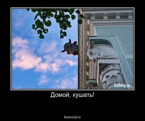 Домой, кушать!
