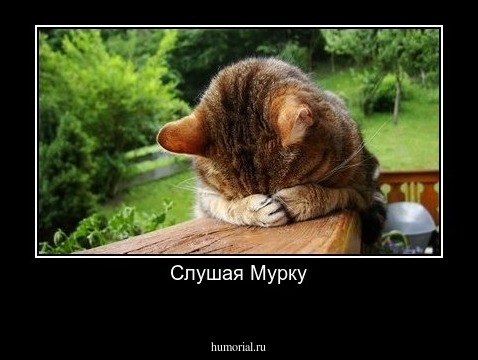 Слушая Мурку
