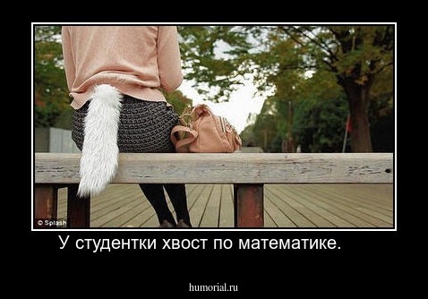 У студентки хвост по математике.     