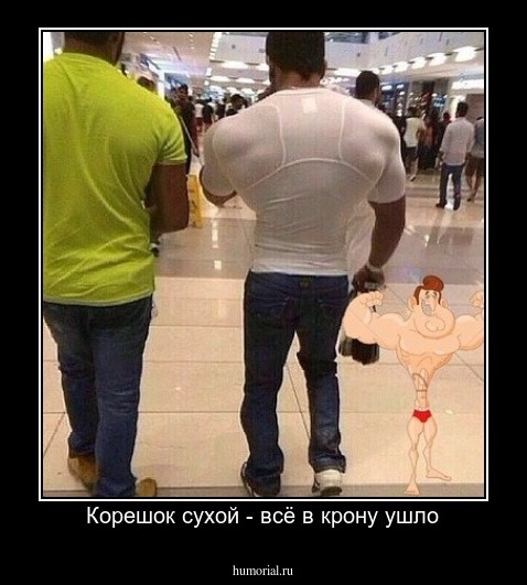 Корешок сухой - всё в крону ушло