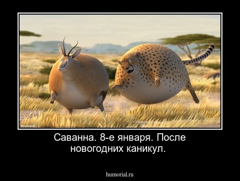 Саванна. 8-е января. После новогодних каникул.