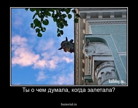 Ты о чем думала, когда залетала?
