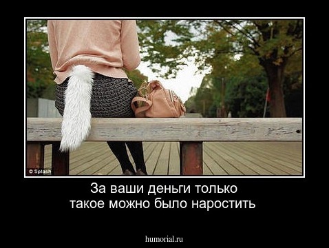 За ваши деньги только такое можно было наростить