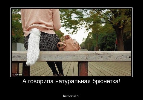 А говорила натуральная брюнетка!
