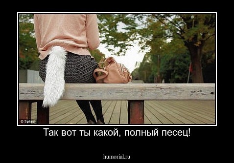 Так вот ты какой, полный песец!