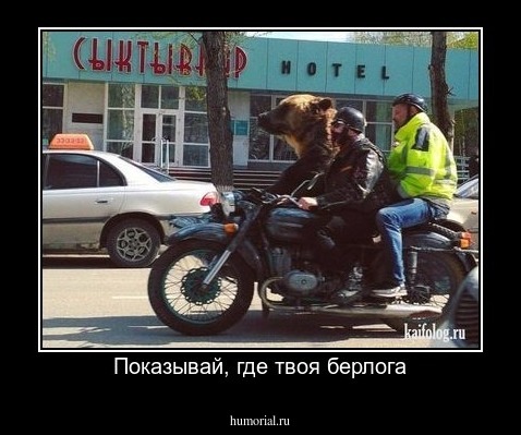 Показывай, где твоя берлога