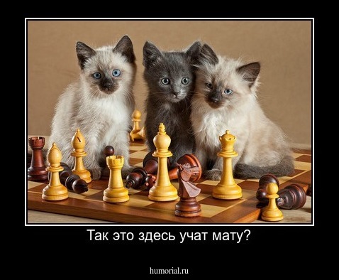 Так это здесь учат мату?
