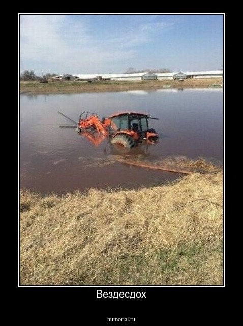 Вездесдох