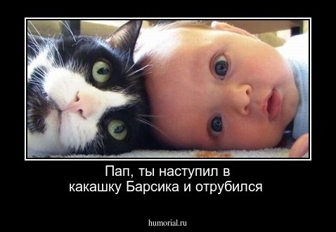 Пап, ты наступил в какашку Барсика и отрубился