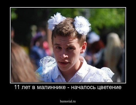 11 лет в малиннике - началось цветение