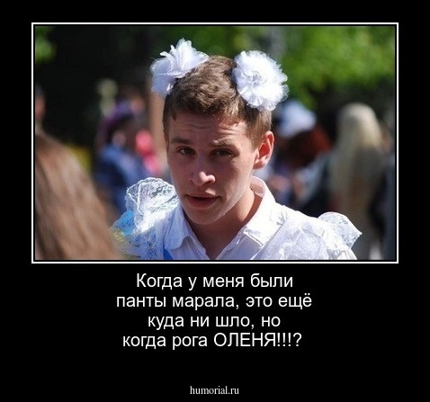 Когда у меня были панты марала, это ещё куда ни шло, но когда рога ОЛЕНЯ!!!?