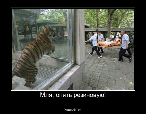 Мля, опять резиновую!