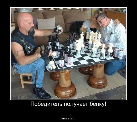 Победитель получает белку!
