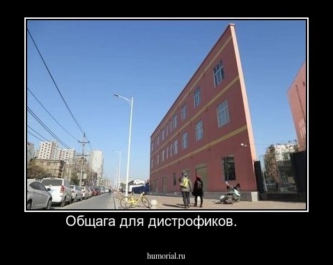 Общага для дистрофиков.       