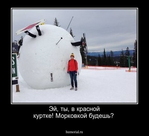 Эй, ты, в красной куртке! Морковкой будешь?
