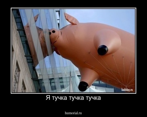 Я тучка тучка тучка