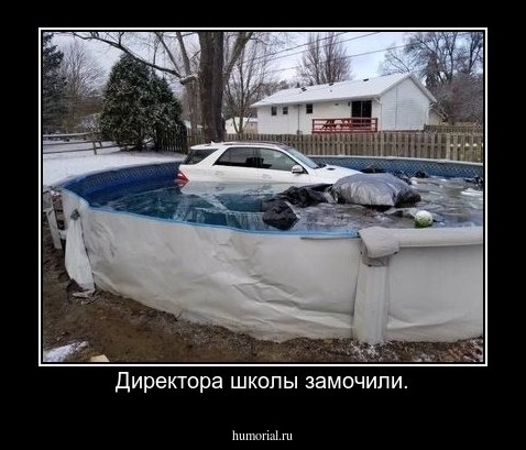 Директора школы замочили.
