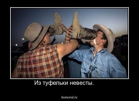 Из туфельки невесты.      