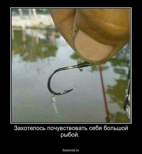 Захотелось почувствовать себя большой рыбой.     