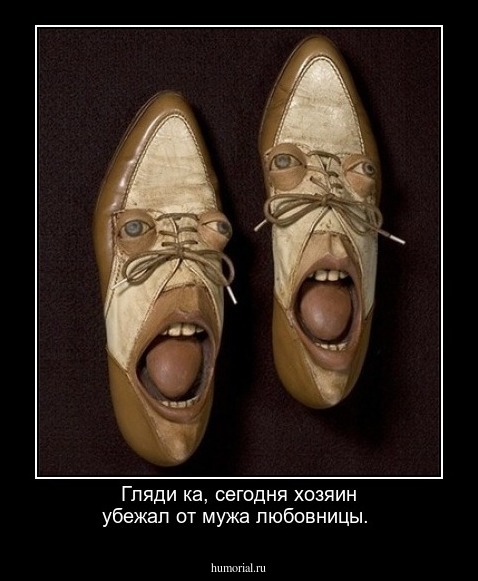 Гляди ка, сегодня хозяин убежал от мужа любовницы.     