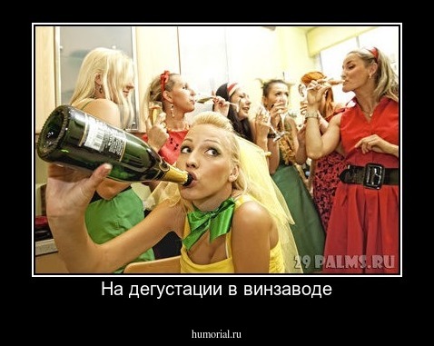На дегустации в винзаводе