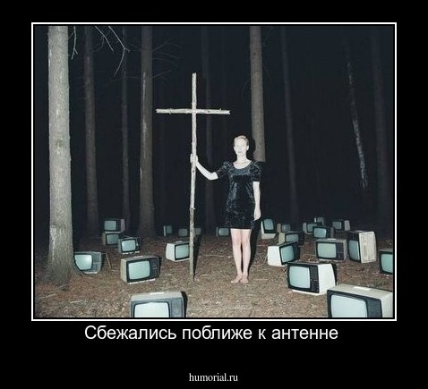 Сбежались поближе к антенне 