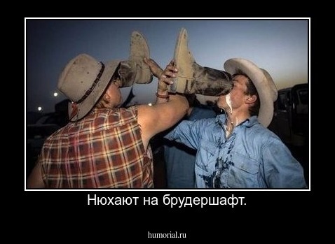 Нюхают на брудершафт.