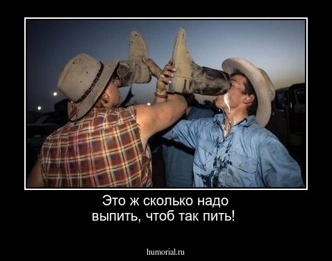 Это ж сколько надо выпить, чтоб так пить!