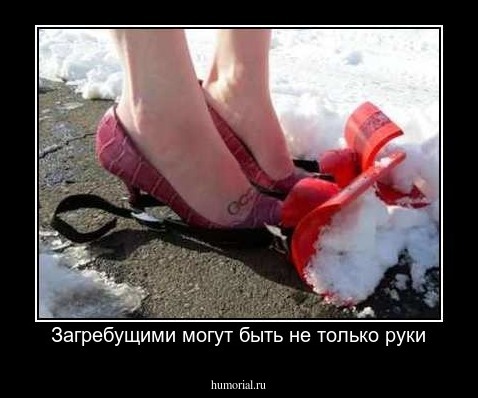 Загребущими могут быть не только руки