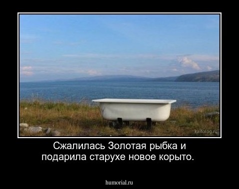 Сжалилась Золотая рыбка и подарила старухе новое корыто.