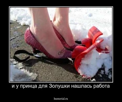 и у принца для Золушки нашлась работа