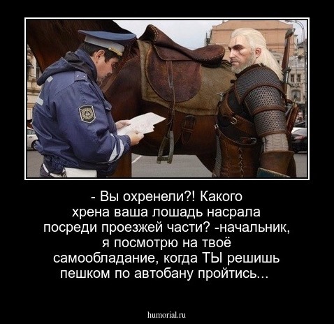 - Вы охренели?! Какого хрена ваша лошадь насрала посреди проезжей части?
-начальник, я посмотрю на твоё  самообладание, когда ТЫ решишь пешком по  автобану пройтись...