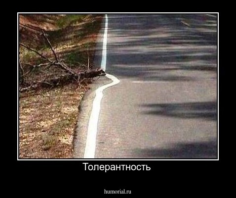 Толерантность 