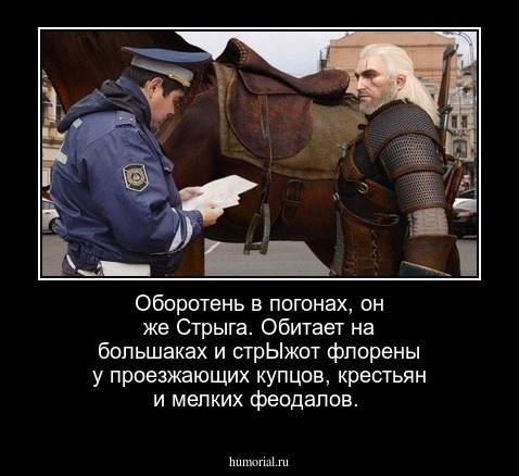 Оборотень в погонах, он же Стрыга. Обитает на большаках и стрЫжот флорены у проезжающих купцов, крестьян и мелких феодалов.  