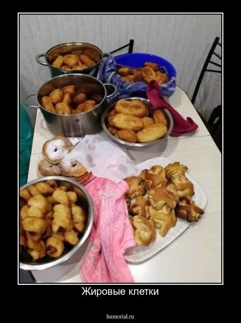 Жировые клетки
