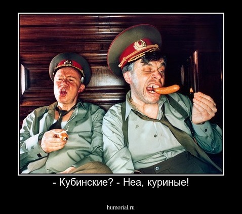 - Кубинские? - Неа, куриные!