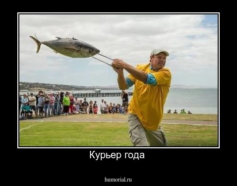 Курьер года 
