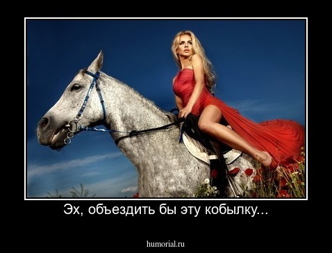 Эх, объездить бы эту кобылку...