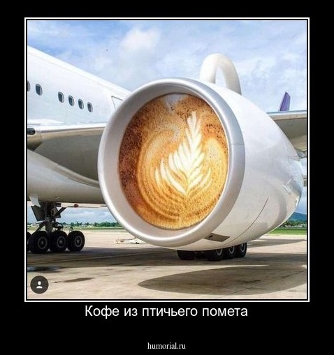 Кофе из птичьего помета