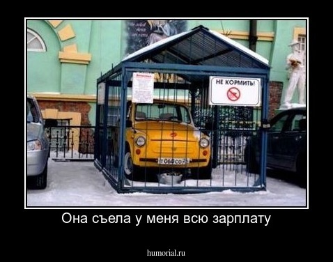 Она съела у меня всю зарплату