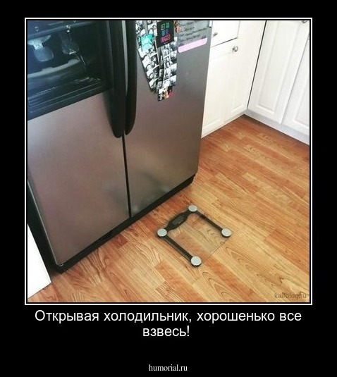 Открывая холодильник, хорошенько все взвесь!