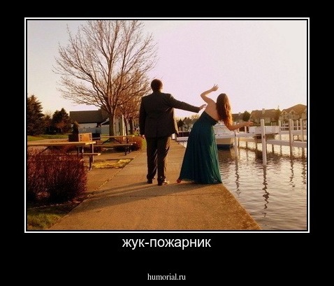 жук-пожарник